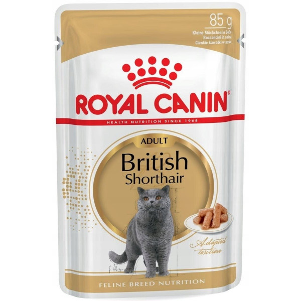 ROYAL British Shorthair Cat 12 x 85 g saszetki