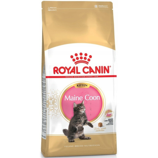 Royal Canin Maine Coon Kitten 10 kg
