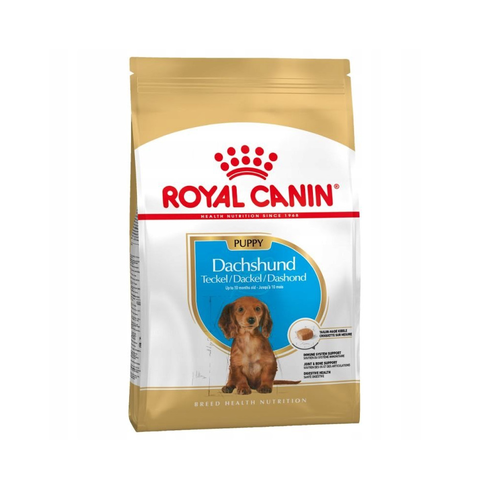 Royal Dachshund Puppy 1,5 kg