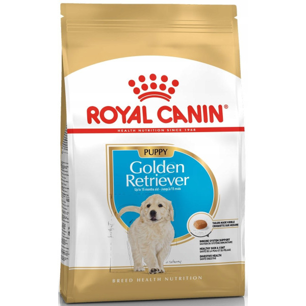 Royal Labrador Golden Retriever Puppy 12 kg